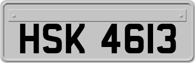 HSK4613