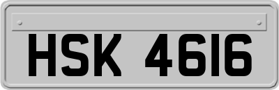 HSK4616