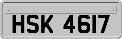 HSK4617