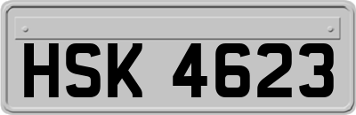 HSK4623