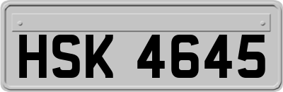 HSK4645