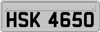 HSK4650