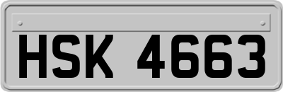 HSK4663