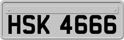 HSK4666