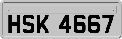 HSK4667