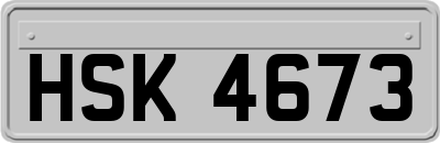 HSK4673