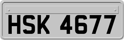 HSK4677