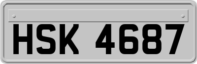 HSK4687