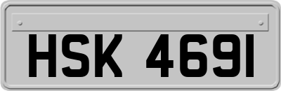 HSK4691