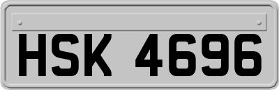 HSK4696