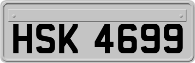 HSK4699