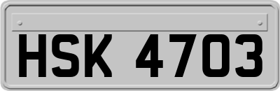 HSK4703