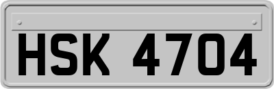 HSK4704