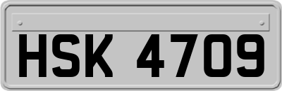 HSK4709