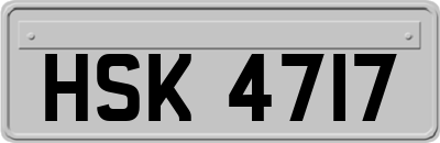 HSK4717