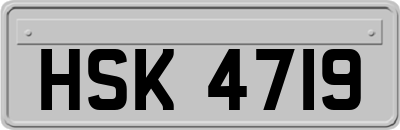 HSK4719