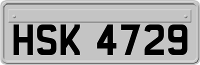HSK4729