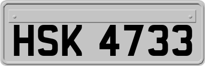 HSK4733