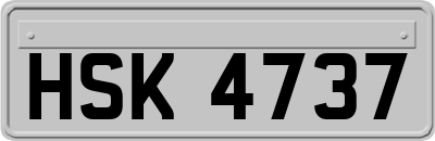 HSK4737