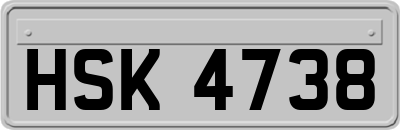 HSK4738