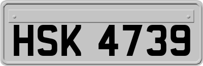 HSK4739