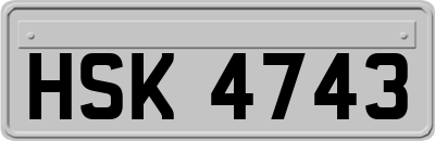 HSK4743