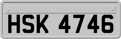 HSK4746