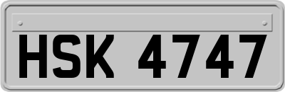 HSK4747