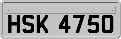 HSK4750