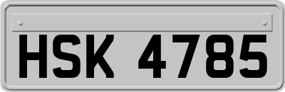 HSK4785