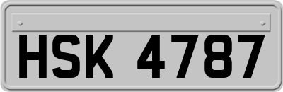 HSK4787