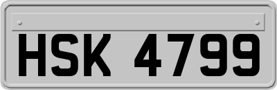 HSK4799