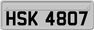 HSK4807