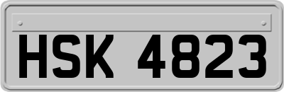 HSK4823