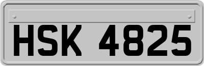 HSK4825
