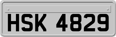 HSK4829
