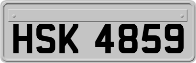 HSK4859