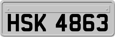 HSK4863