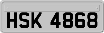 HSK4868
