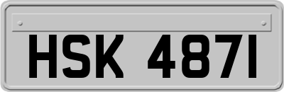 HSK4871