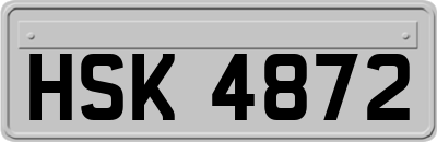 HSK4872