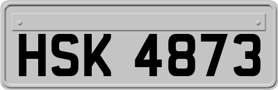 HSK4873