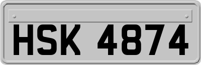 HSK4874