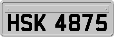 HSK4875