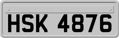 HSK4876
