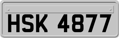 HSK4877