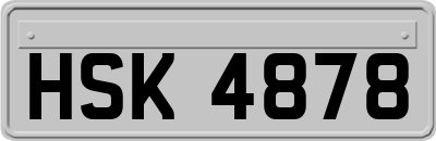 HSK4878