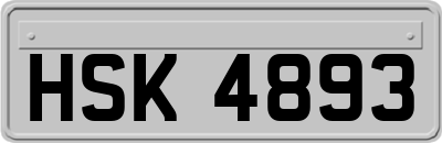 HSK4893