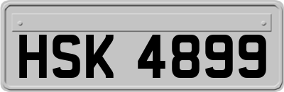 HSK4899