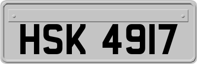 HSK4917